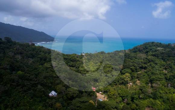El paisaje en la frontera de Colombia con Panamá es hermoso, pero esconde una selva llena de peligros para los migrantes que van hacia EE.UU. FOTO: Esteban Vanegas
