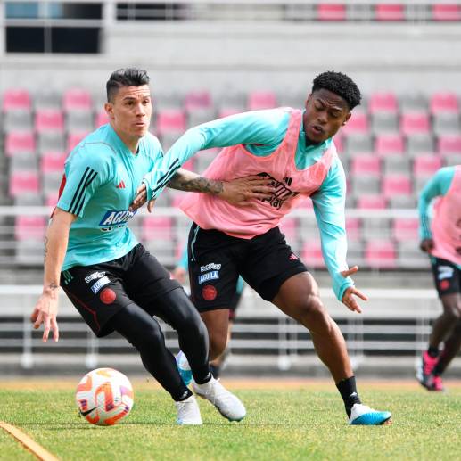 En la imagen aparecen Mateus Uribe y Nelson Palacio, el primero es recurrente en el combinado patrio, mientras que el segundo hace su debut en las convocatorias de la Selección. <span class="mln_uppercase_mln">FOTO</span> <b><span class="mln_uppercase_mln">cortesía fcf</span></b>