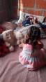 La madre de la niña aseguró que nunca la deja sola en la casa y agradeció a las personas que le ayudaron a buscarla. FOTO Cortesía