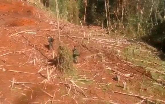 El campamento fue detectado durante una serie de allanamientos en la frontera de Antioquia con Córdoba. FOTO: CORTESÍA DEL EJÉRCITO.