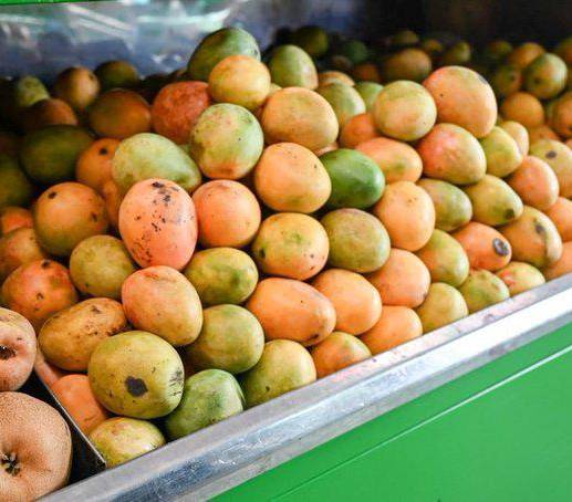 Las frutas se cosecharon en una finca en Ciénaga, Magdalena. FOTO Cortesía