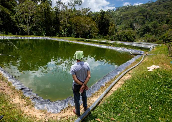 Iniciaron un proyecto piscícola con la convicción de construir una nueva vida y avanzar en su apuesta por la paz. Foto : Camilo Suárez