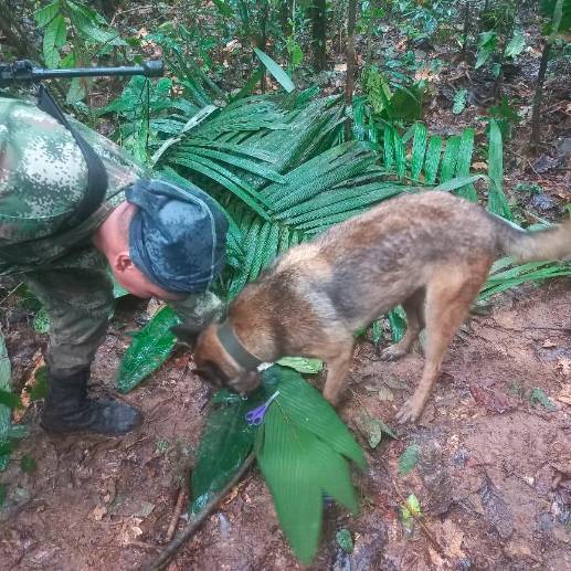 El comandante de la operación “Esperanza”, el general Pedro Sánchez, aseguró que los niños siguen con vida “por las evidencias” que encontraron en los últimos días.<b> </b>FOTO: COLPRENSA