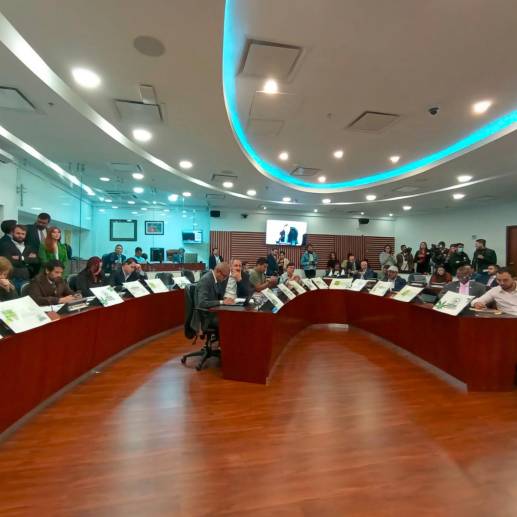 Comisión Primera de la Cámara de Representantes durante el quinto debate de la regulación del cannabis de uso adulto. FOTO: CORTESÍA 