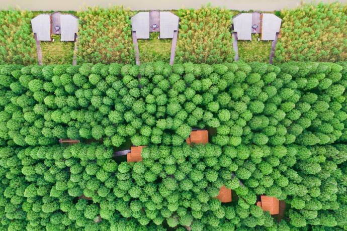 El parque se recorre circularmente en coche eléctrico unas 4 horas aproximadamente. Foto Getty