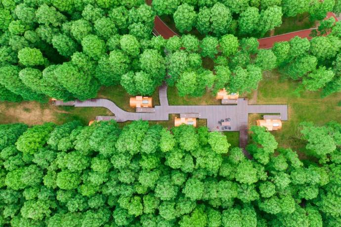 El parque cuenta con un hotel y cabañas en alquiler para las personas que quieran tener la experiencia en este hermoso bosque artificial. Foto Getty