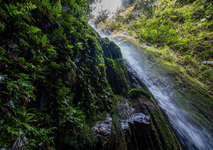 La reserva El Moral abastece el acueducto comunitario la Acuarela que beneficia alrededor de 4.176 familias del corregimiento de San Cristóbal. Foto: Manuel Saldarriaga Quintero.
