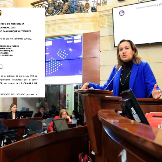 Con este recurso se busca frenar el trámite de la reforma a la salud como una ley ordinaria para determinar en la bancada del Congreso si es una ley estatutaria. FOTO CORTESÍA Y MINSALUD