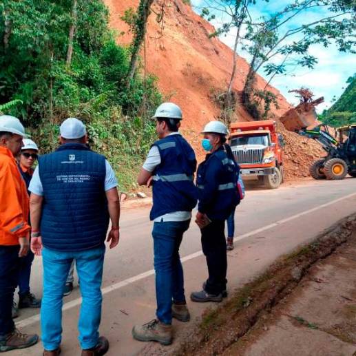 El deslizamiento se presentó en el sector conocido cómo El Santuario - Caño Alegre, en el kilómetro 49+600. FOTO: Cortesía 