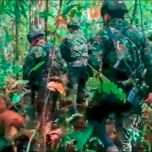 Rescatistas continúan con la fe intacta en la búsqueda de los cuatro menores perdidos en la selva del Guaviare. FOTO: Cortesía. 