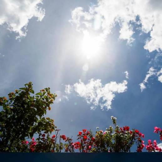 El fenómeno del Sol cenital ocurre al mediodía cuando todas las sombras desaparecen. FOTO: Archivo El Colombiano