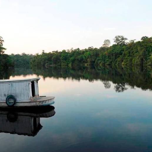 Congreso de Brasil aprobó ley que limitará delimitación de tierras indígenas. Foto: Creaf/Archivo. 