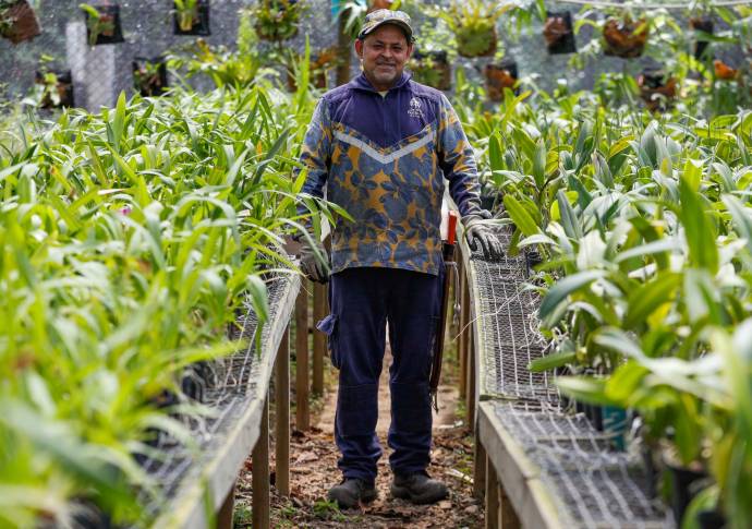 William De Jesús Palacios, 54 años de edad y 8 años trabajando en el Jardín Botánico. Foto: Manuel Saldarriaga Quintero.