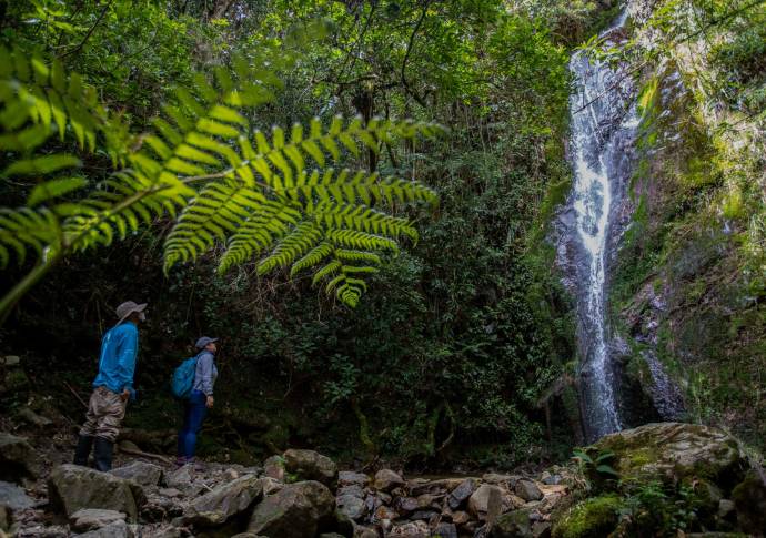 Los guardabosques de la Secretaría de Medio Ambiente cuidan esta reserva que posee una gran diversidad de flora, aves, mariposas y mamíferos entre otros. Foto: Manuel Saldarriaga Quintero.
