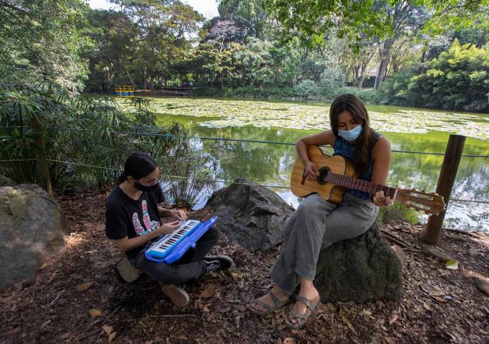 La historia de decadencia del Jardín Botánico comenzó en 2020. Según García, su directora, los ingresos de la entidad están divididos en dos bloques. El primero de ellos, y el más representativo, proviene de la contratación con la Alcaldía de Medellín, que representa un 65 % del total. Foto: Manuel Saldarriaga Quintero.
