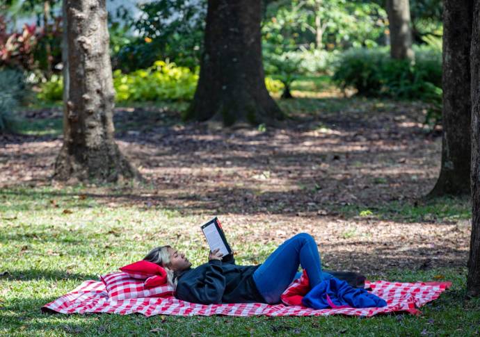 El Jardín Botánico de Medellín es un espacio cultural y natural creado hace 48 años, pero con raíces en las postrimerías del siglo XIX. Foto: Manuel Saldarriaga Quintero.