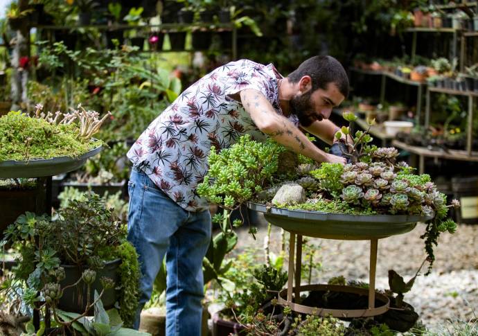 A Arturo Aristizábal lo conoce como el “parcero botánico”. Su misión, en el mundo académico y digital, es acercar las personas a las plantas y enseñarles cuánto se depende de ellas. Foto: Manuel Saldarriaga Quintero