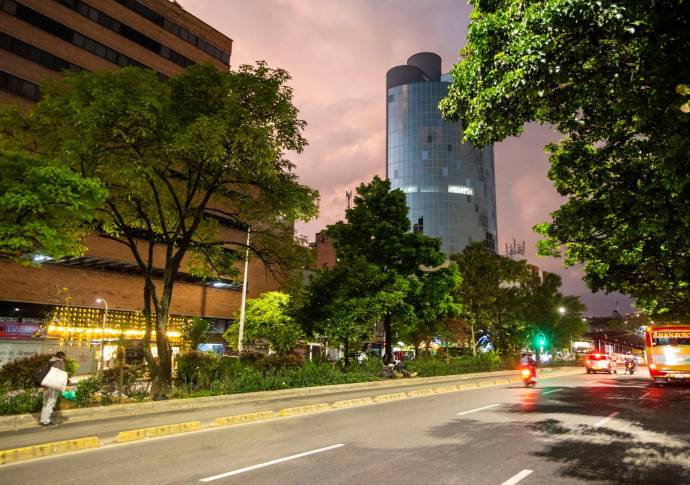 Los roedores se ven fácilmente en este tramo de la Avenida Oriental entre la calle Caracas y Argentina. Foto: Edwin Bustamante