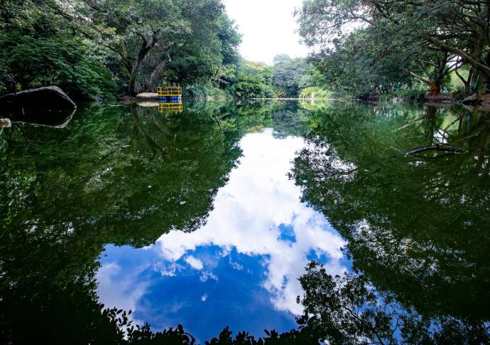 El jardín botánico tiene una extensión de 13,2 hectáreas y más 100 años de historia, primero como Jardín del Edén, luego como El Bosque y desde 1972 como Jardín Botánico. Foto Jaime Pérez