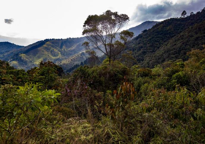 El Moral esta ubicada en el corregimiento San Cristóbal; en sus montañas nacen las quebradas San Francisca, La Aguada y La Lejía. Foto: Manuel Saldarriaga Quintero.