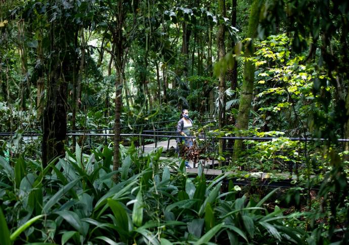 La invitación es para que el público, manteniendo todas las medidas de bioseguridad, regresen a recorrer las zonas verdes que ofrece este pulmón verde de Medellín. Foto Jaime Pérez