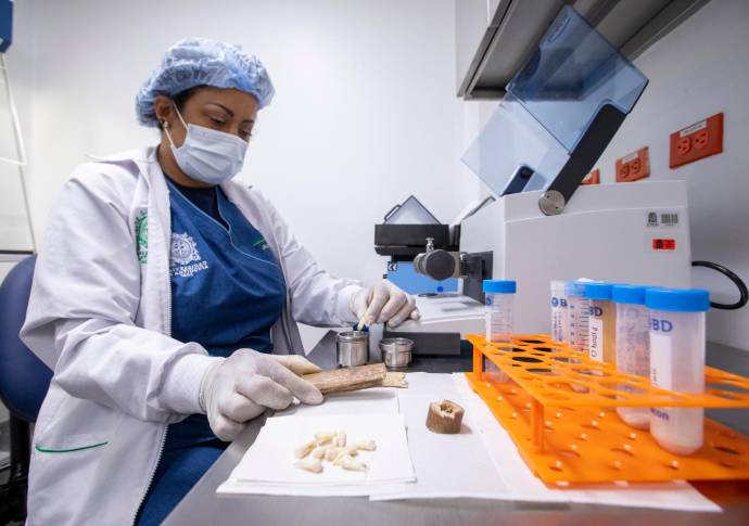 En Antioquia está el segundo laboratorio certificado del país que presta los servicios de identificación de cuerpos a partir de restos óseos y piezas dentales. Foto: Carlos Velásquez