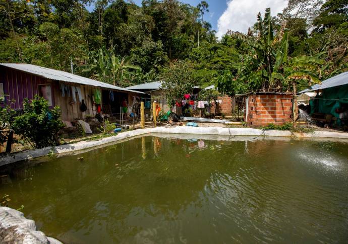 El buen desempeño del sector agro en Colombia estuvo impulsado principalmente por la pesca y la acuicultura. Foto : Camilo Suárez