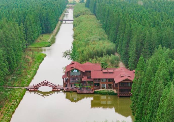 El bosque de Huanghai fue planeado y creado para ser convertirse en un parque nacional. Foto: Getty