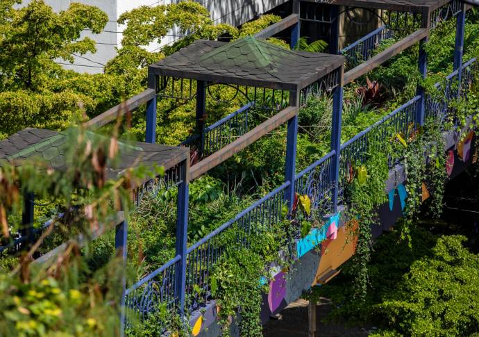 En este puente fueron sembrados 922 metros cuadrados con diferentes especies de plantas. Foto: Camilo Suárez