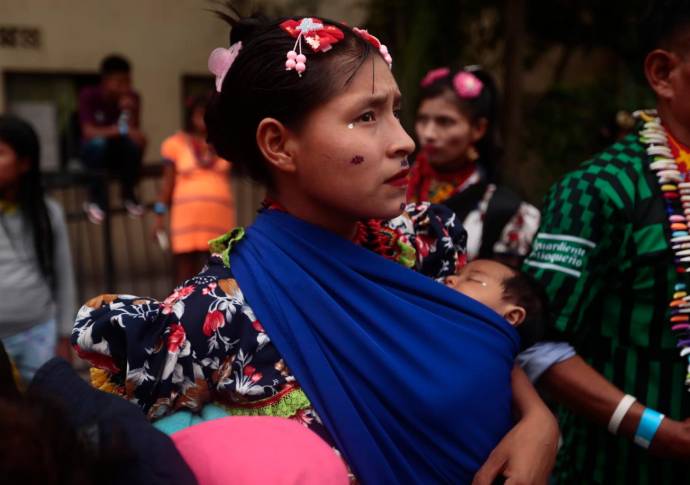 Con la ayuda humanitaria y económica, las familias regresaron a sus parcelas. FOTO: Carlos Velázquez 