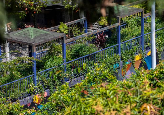 Refugio de diferentes especies de fauna y, además, suma beneficios ambientales debido a la siembra de nuevos jardines. Foto: Camilo Suárez