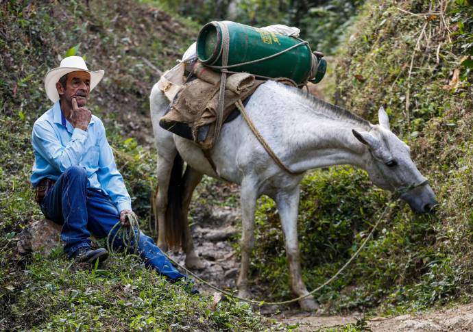 Nada es tan esperado como el momento en el que Gustavo y Jalisco bajan por la media loma para entregar, casa por casa, los encargos que les hacen. Foto: Manuel Saldarriaga Quintero.