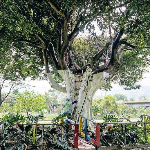 Así quedó la famosa casa del árbol de la autopista Sur luego del incendio de la noche del pasado domingo. <b><span class="mln_uppercase_mln"> </span></b>FOTOS<b><span class="mln_uppercase_mln"> JULIO CÉSAR HERRERA</span></b>