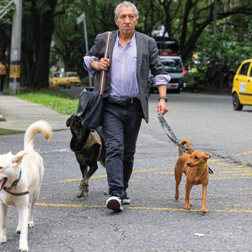 Franco tiene en este momento 200 perros en la fundación. FOTO Manuel Saldarriaga