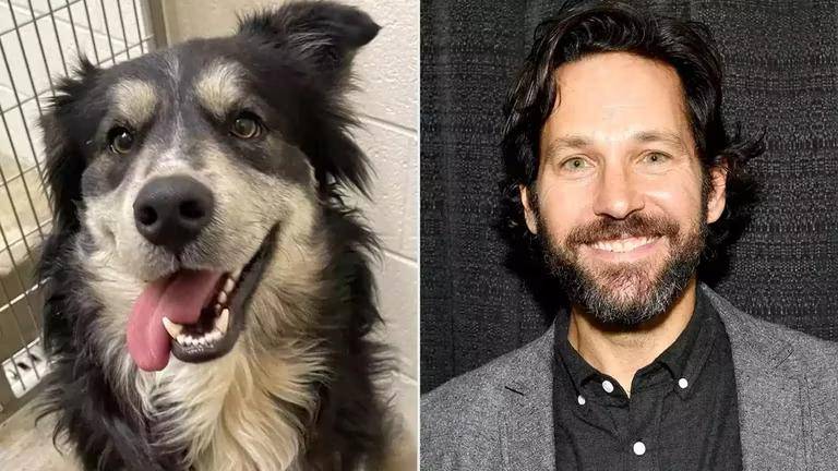 Pawl Ruff y Paul Rudd comparten gestos y características similares. FOTOS: Twitter