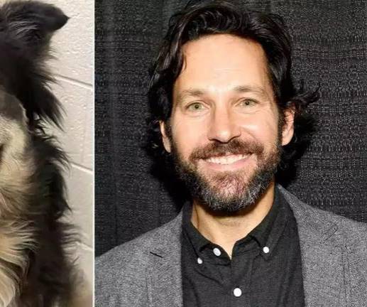 Pawl Ruff y Paul Rudd comparten gestos y características similares. FOTOS: Twitter