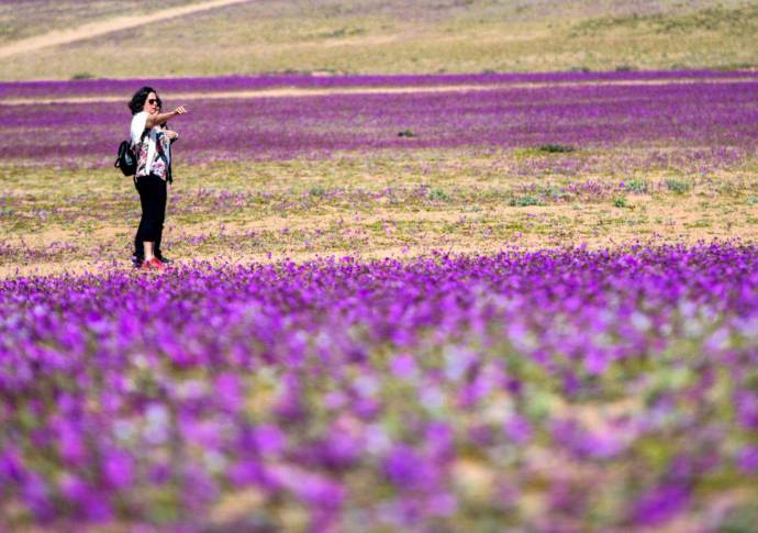 Este fenómeno se ha vuelto cada vez más frecuente debido al cambio climático. Foto AFP