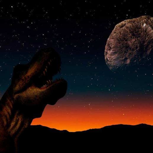 Al igual de lo que pasó con los dinosaurios, el tiktoker ha especulado con la destrucción del planeta por la caída de meteoritos. FOTO Agencia Sinc