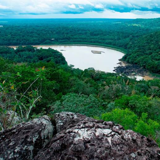 Diecinueve días desaparecidos completan los hermanos Lesly y Soleiny Mucutuy, y Tien Noriel y Cristin Ranoque Mucutuy, en la selva del Guaviare<b>. </b>Foto: Jaime Perez. 