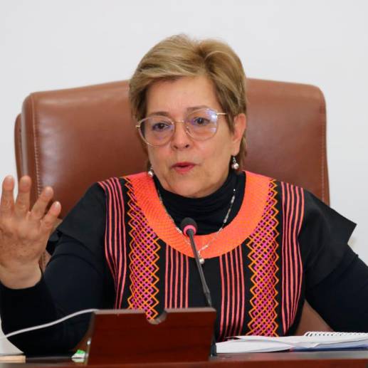 La ministra de Trabajo, Gloria Inés Ramírez, resaltó que quedaron 18 artículos sin acuerdo para el debate. FOTO MINTRABAJO