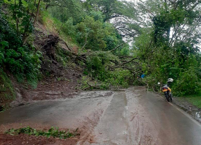 Este es el estado de la vía Santa Fe de Antioquia-Bolombolo, a la altura del sector Vendiagual, una de las zonas más críticas de este corredor. FOTO: CORTESÍA DEVIMAR