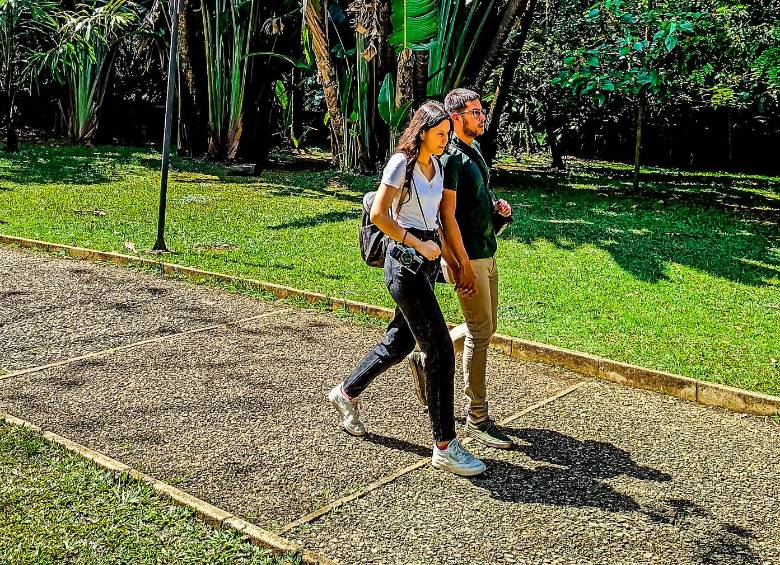10 curiosidades para ver en el Jardín Botánico