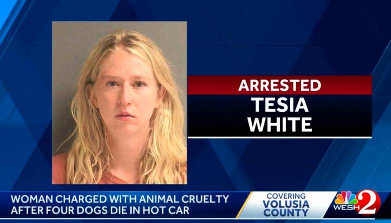 Tesia White era la propietaria de los cuatro perros, que murieron de golpe de calor en su carro. FOTO: CORTESÍA WESH.COM