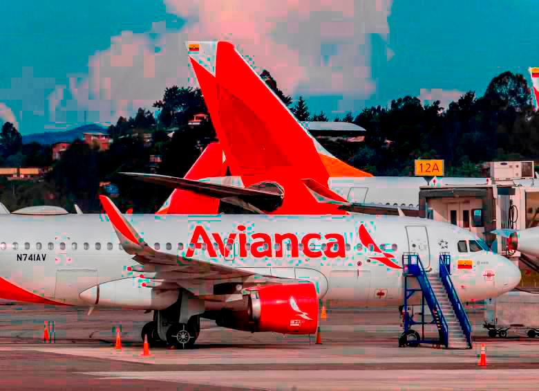 Avianca confirmó que no habrá cobros adicionales para las personas que viajen con sus animales, pero aseguró que deberán avisarle a la aerolínea que tendrán mascota de compañía 48 horas antes del vuelo. FOTO: JUAN ANTONIO SÁNCHEZ
