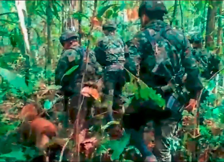 Rescatistas continúan con la fe intacta en la búsqueda de los cuatro menores perdidos en la selva del Guaviare. FOTO: Cortesía. 