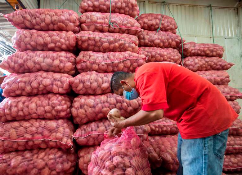 La papa ha estado entre los alimentos más golpeados por la escasez de insumos. FOTO: EDWIN BUSTAMANTE