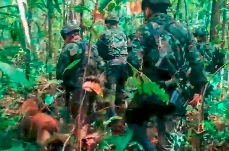 Rescatistas continúan con la fe intacta en la búsqueda de los cuatro menores perdidos en la selva del Guaviare. FOTO: Cortesía. 