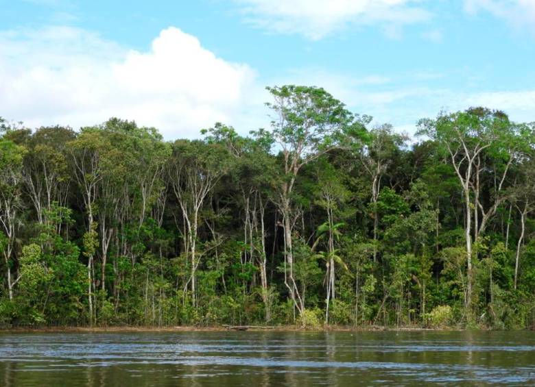 A este acuerdo se han suscrito 23 países de Latinoamérica, y busca proteger y tener mayor acceso a la información para el cuidado del medio ambiente. FOTO Colprensa