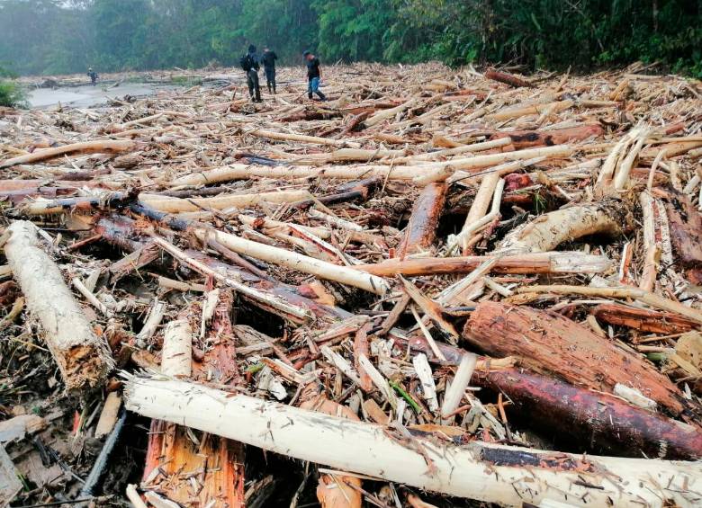 Una empalizada sobre el río Murindó tiene incomunicadas a cinco comunidades indígenas de la zona. FOTO CORTESÍA DAGRAN 