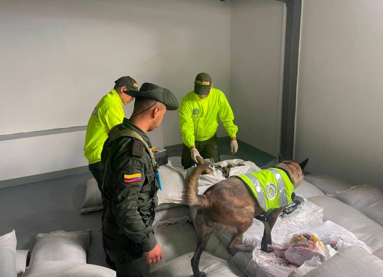 En una bodega del barrio Boston, los narcotraficantes escondían la droga que fue incautada. FOTO: CORTESÍA POLICÍA